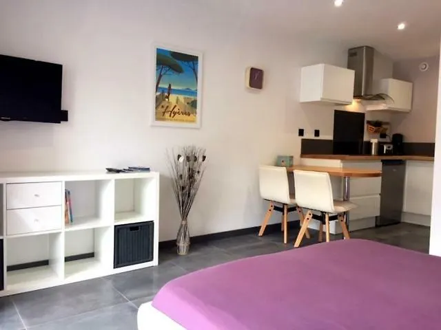 Apartment Plage A 400 M Studio Tout Confort Terrasse Clim Parking Hyeres