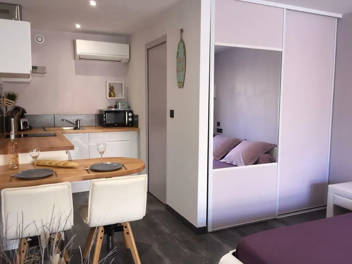 Apartment Plage A 400 M Studio Tout Confort Terrasse Clim Parking Hyeres